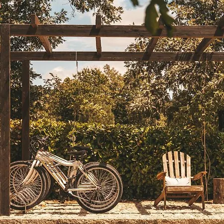 Moinho Da Lapa * Lapa (Viseu)