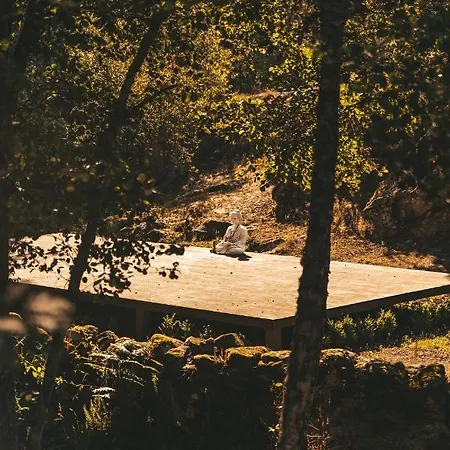 Moinho Da Lapa Lapa (Viseu)