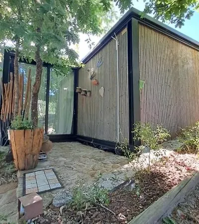 Moinho Da Lapa Lapa (Viseu)