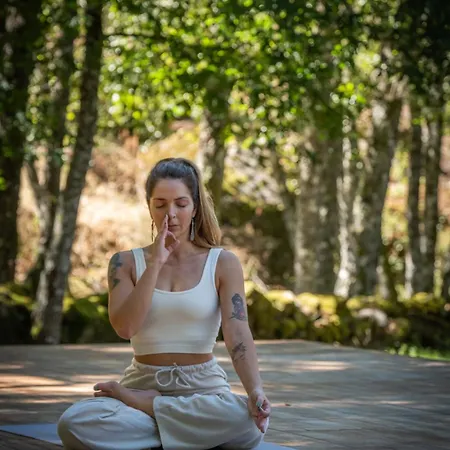 Moinho Da Lapa * Lapa (Viseu)