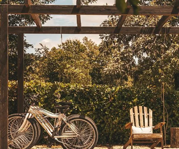 Moinho Da Lapa * Lapa (Viseu)