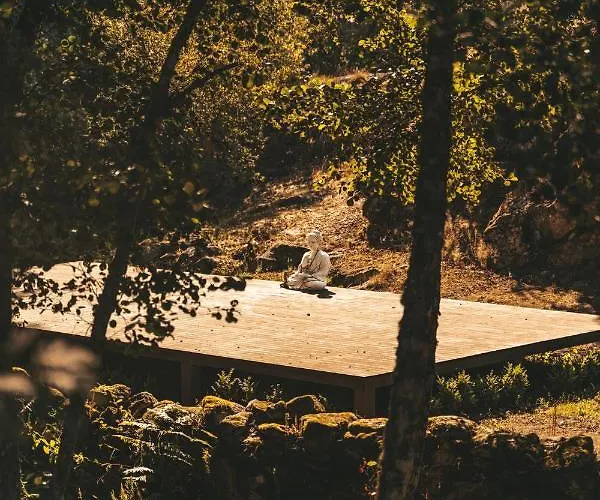 Moinho Da Lapa Lapa (Viseu)