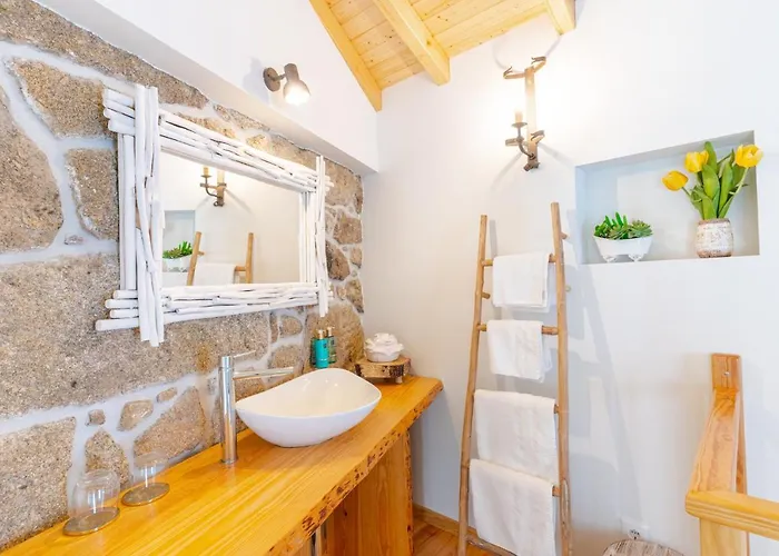 Moinho Da Lapa Lapa (Viseu)