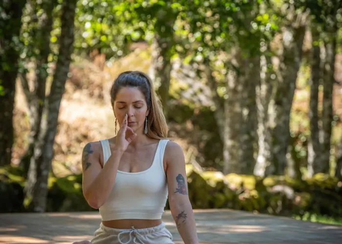 Moinho Da Lapa * Lapa (Viseu)